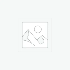 Jeans Pant